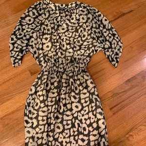 Express Dress